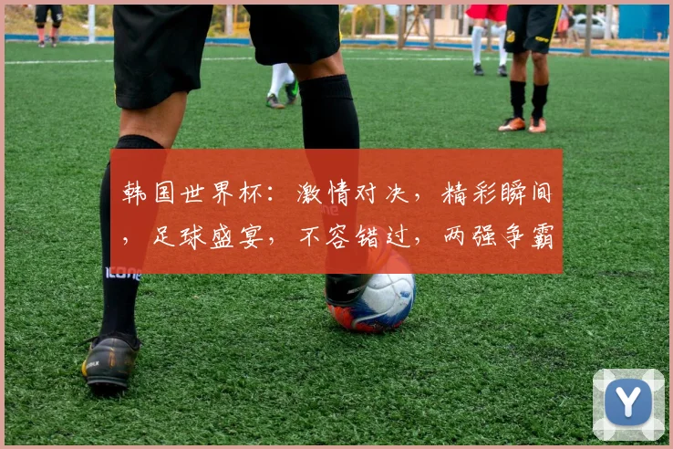 韩国世界杯：激情对决，精彩瞬间，足球盛宴，不容错过，两强争霸