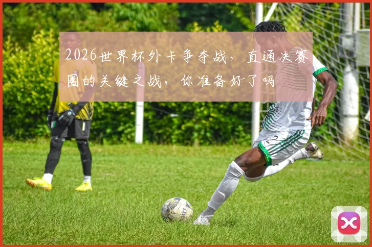 2026世界杯外卡争夺战，直通决赛圈的关键之战，你准备好了吗