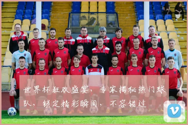 世界杯狂欢盛宴，专家揭秘热门球队，锁定精彩瞬间，不容错过