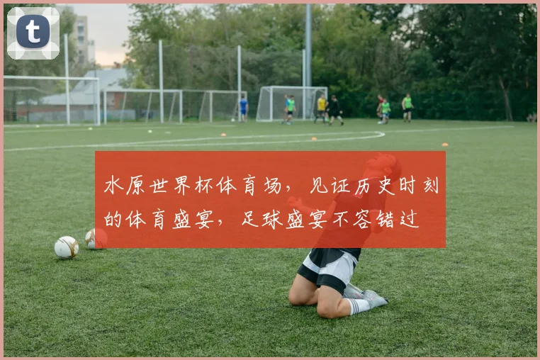水原世界杯体育场，见证历史时刻的体育盛宴，足球盛宴不容错过