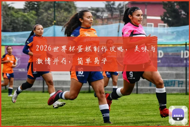 2026世界杯蛋糕制作攻略，美味与激情并存，简单易学