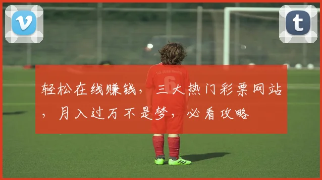 轻松在线赚钱，三大热门彩票网站，月入过万不是梦，必看攻略